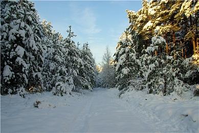 《命运2》全新资料片“邪姬魅影”今晚12点正式公布