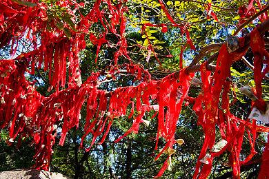 给导剪版让路 《对马岛之鬼》原版已从PSN商店中移除